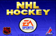 nhl-hockey-94-title