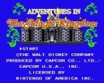 Adventures in the Magic Kingdom title